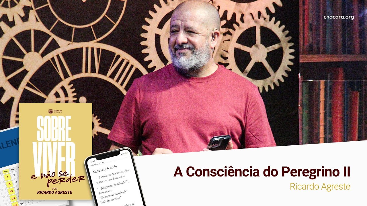 A Consciência do Peregrino II